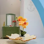 Σπίτι διακοπών Mare Nostrum - Beachfront House With Sea View - 2 Bedrooms - Sant'angelo Ischia