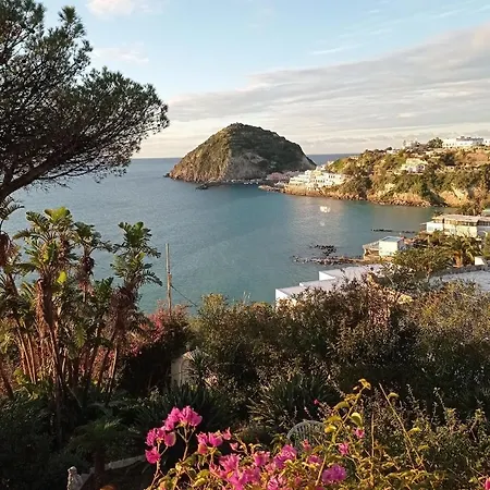 Mare Nostrum - Beachfront House With Sea View - 2 Bedrooms - Sant'angelo Ischia Casa vacanze *